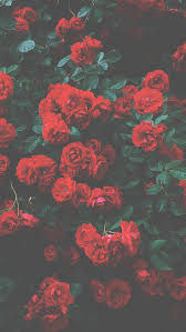 Find a hd wallpaper for your mac, windows, desktop or android device. Aesthetic Wallpaper Hd Iphone 6