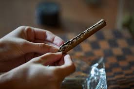 Large chunks of leftover run a lighter along the shaft to seal the entire package. How To Roll A Blunt Weedmaps