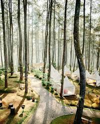 Tapi sebenernya orchid forest cikole tuh apa sih? Wisata Lembang Wisata Orchid Forest Cikole Asedino