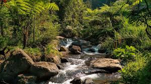 Coban siuk buka jam brapa : Coban Siuk Pemandangan Alami Dengan Bonus Air Terjun Mini Di Dalamnya