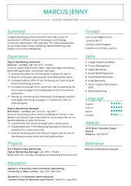 Digital Marketing Resume Example Cv Sample 2020 Resumekraft