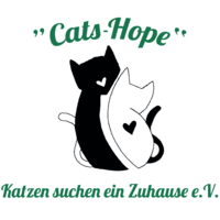 Darüber hinaus findest du eine liste mit Cats Hope Katzen Suchen Ein Zuhause E V Spende Fur Unsere Organisation Betterplace Org
