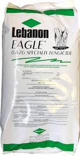 We did not find results for: Lebanon Eagle 62g Fungicide Lebanonturf