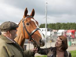 Are you interested in the horse dream meaning? First Look At The Hollywood Film Dream Horse About Welsh Racing Horse Wales Online