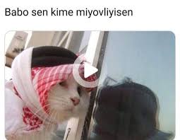 mizah komik fun captions animal jokes funny tweets