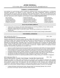 Resume Objective Statement Samples