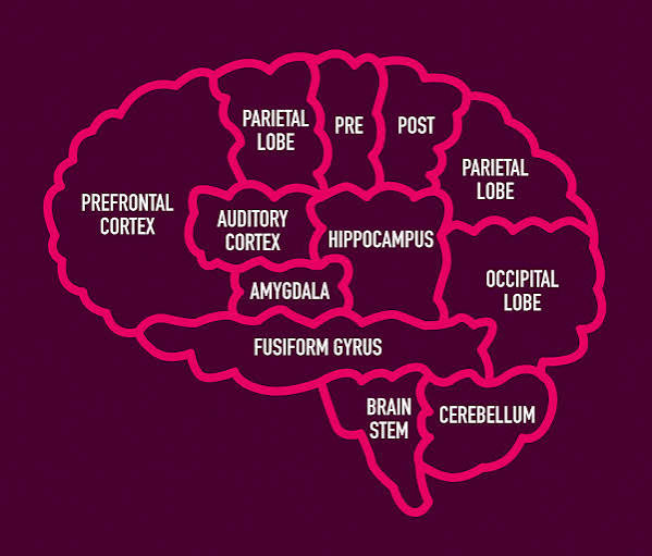What Is Brain Death? | LifeSource