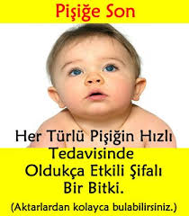 Bebekler Icin Pisik Kremi Bebeklerde Pisik Nasil Gecer Bebeklerde Pisik Tedavisi Bebeklerde Pisigin Belirtileri Bebekle Dogal Tedaviler Bebek Bitkisel Ilac