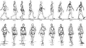 Deviantart Animal Anatomy Google Search Walking Animation Animation Reference Walking Poses