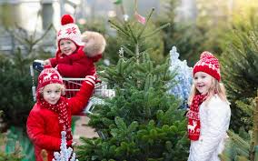 Hours may change under current circumstances How To Care For Your Real Christmas Tree Hicks Nurseries