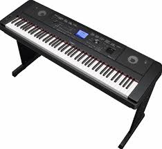 (the answer is probably neither. Top 5 Of The Best Weighted Keyboards Of 2021 Run The Music