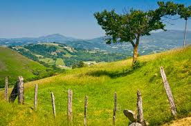 The basque people have been living in this part of europe for thousands of years, giving them plenty of time to evolve their very individual culture. Landschaft Im Pays Basque Frankreich Stockfoto Bild Von Baskisch Gras 38692390