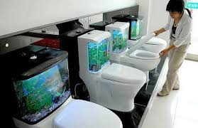 Aquarium Toiletten In Bildkategorie Wohnen Toiletten Toiletten Ideen Aquarium Einrichten