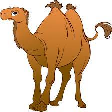 Bactrian Camel Clipart Free Download Transparent Png Creazilla