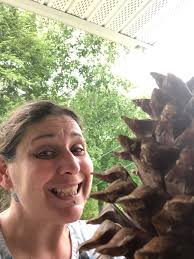 The adventures of rookie and the pinecone part 1