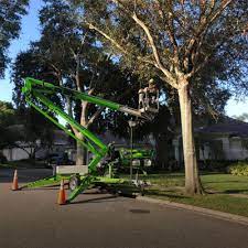 Maybe you would like to learn more about one of these? Tree Removal Tree Trimming Services In Palm Harbor Fl