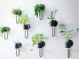 Ubertopf Cigales Wall Plant Pot Design Potted Plants Plant Decor