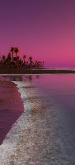 Welcome to free wallpaper and background picture community. Vertical Pink Beach Wallpaper Novocom Top