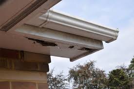 Acnh wasp nest farming guide | the best way to find and what you can make with wasp nest wasp nest recipe list for animal crossing new horizons. How To Prepare Soffits Painting With Roller Eco Paint Inc