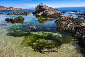 Best Central California Beaches Best Places To Camp California Places To Visit Pismo Beach California