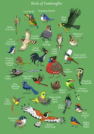 In this lesson, you will learn a big list of animal names in english with esl pictures to help you expand your vocabulary. Green Humour September 2020