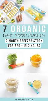 7 Organic Baby Food Recipes For 20 Complete Guide Baby Foode Baby Food Recipes Organic Baby Food Puree Baby Puree Recipes