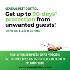 Condos and vacation rentals in quezon city, philippines. Pest Control For Businesses In The Philippines Triple A Pest Terminator Pest Control Quezon City Manila Philippines