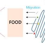 Migration of substances from food contact plastic materials ...