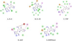 Image result for Kedrostis abdallai