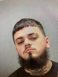 $2M bond set for man in fatal crash that killed Allen Park girl; nine  felonies charged