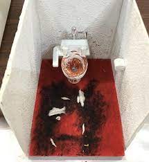 トイレの中で亡くなってしまう 病死 ことも bath caddy doll house caddy