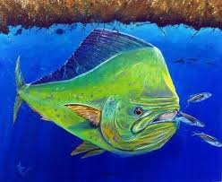 Mahi Mahi Dorado Sea Life Art Art Inspiration Painting Fish Art