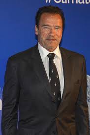 From a very widely used personal name of germanic origin, composed of the elements arn 'eagle' + wald 'rule'. The Ultimate List Of 45 Leo Celebrities Famous Leos