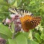 National Pollinator Week