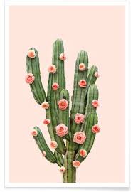 The scandinavian tropica scandi sell a nice variety of cactus seeds and all of the ones i bought (a. Buy Cactus Art And Posters Online Juniqe