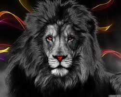 Lion In Color By Michalius89 On Deviantart Lion Lion Illustration Lions