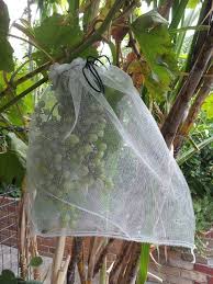 Get it as soon as thu, sep 3. Netting Fruit Trees And Berries For Pest Control Deep Green Permaculture
