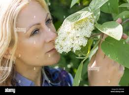 Imagine park hi-res stock photography and images