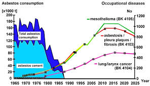 pleural thickening symptoms vary considerably from person to person and include: Asbestos Related Disorders In Germany Background Politics Incidence Diagnostics And Compensation Abstract Europe Pmc