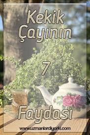 Kekik Cayinin 7 Onemli Faydasi Dogal Saglik Sifali Otlar Saglik Urunleri