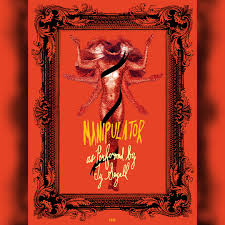 Manipulator | Ty Segall