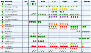Produce Availability Naber Produce Farm Llc