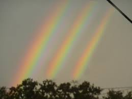 News 8 Report It Photo Of The Day Seeing A Single Rainbow Is Cool Seeing A Double Rainbow Very Cool Seeing A Trip Rainbow Photo Rainbow Promise Love Rainbow