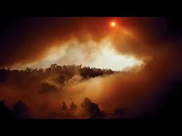 Image result for Radiant Fire 1991 Shadow