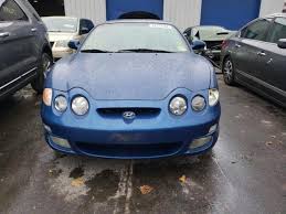 Image result for Cobalt Blue 2000 Tiburon