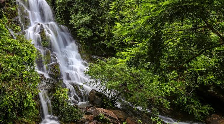 Vườn Thực Vật Phong Nha (Son Trach, Việt Nam) - Đánh giá - Tripadvisor