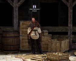 Workers are a great source of passive income and getting them early on can give a new player a decent boost of silver for those expensive black stones. Black Desert Online Making Money With Workers Levelskip