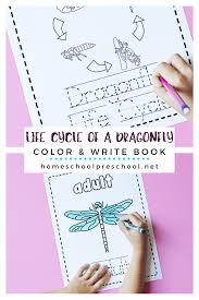 We did not find results for: The Life Cycle Of A Dragonfly Coloring Book