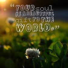 Multicolored badlands and not a soul around for miles except the . other members of our crew. Quotes About Beautiful Soul 114 Quotes