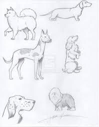 Doggies Easy To Draw Realistic Dogs Realistic Drawing Of Dogs By Kitsuneninja277 On Deviantart Realistic Drawings Dog Sketch Dog Drawing